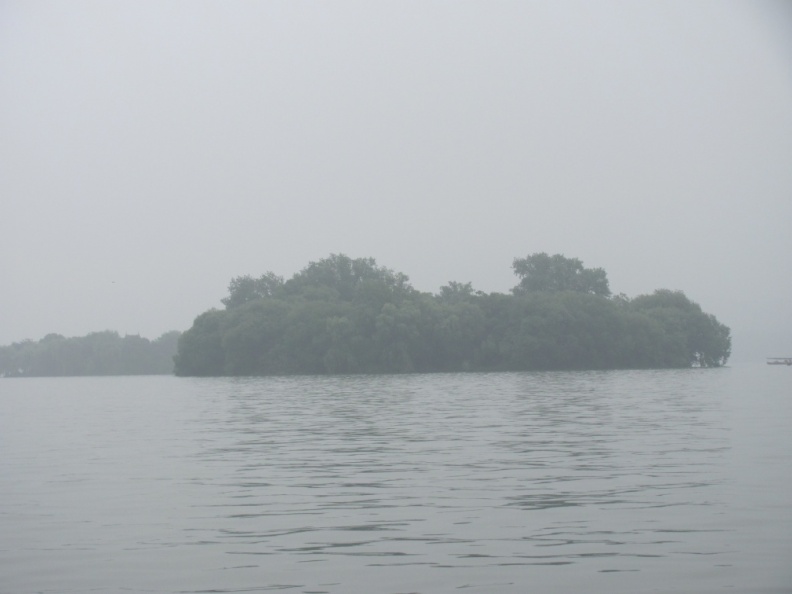 IMG_5580.JPG
